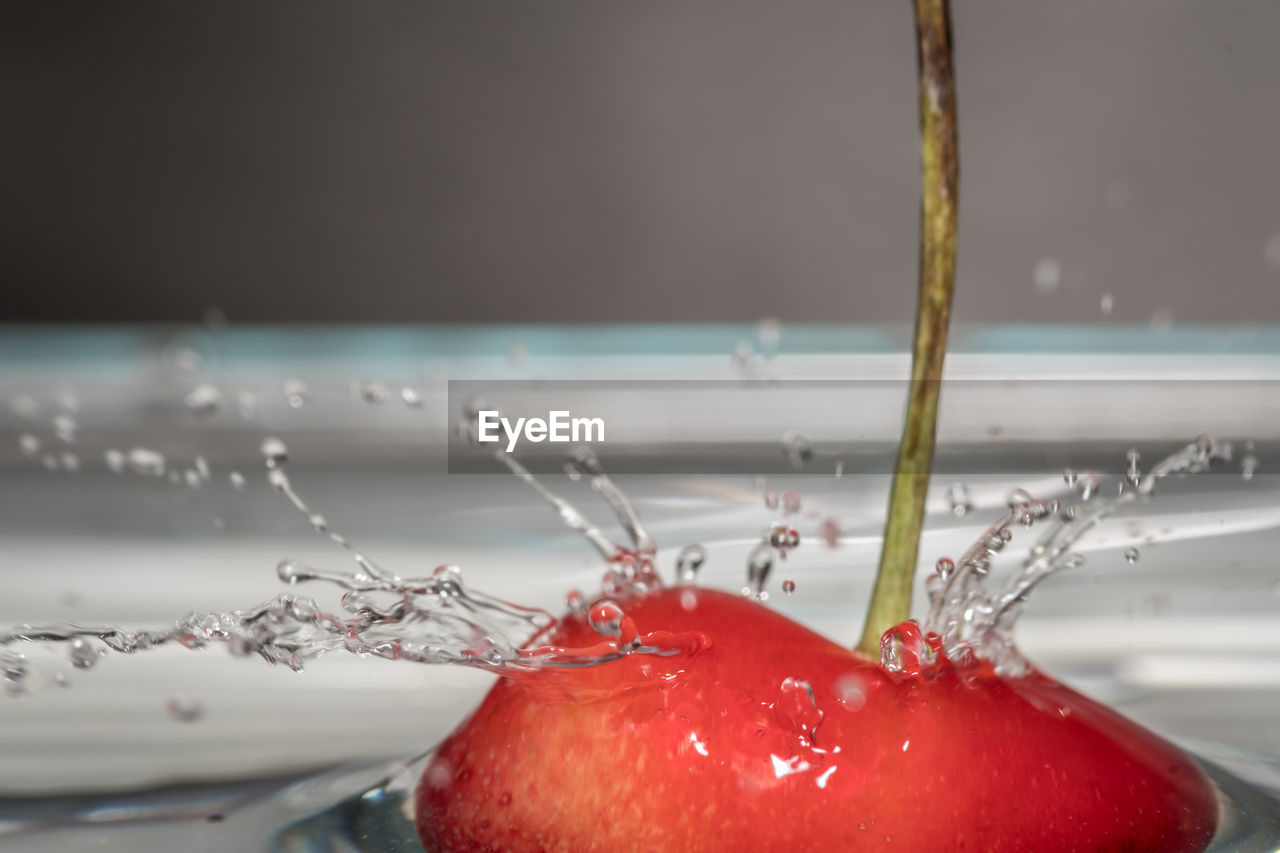 CLOSE-UP OF RED BERRIES ON WATER IN CONTAINER