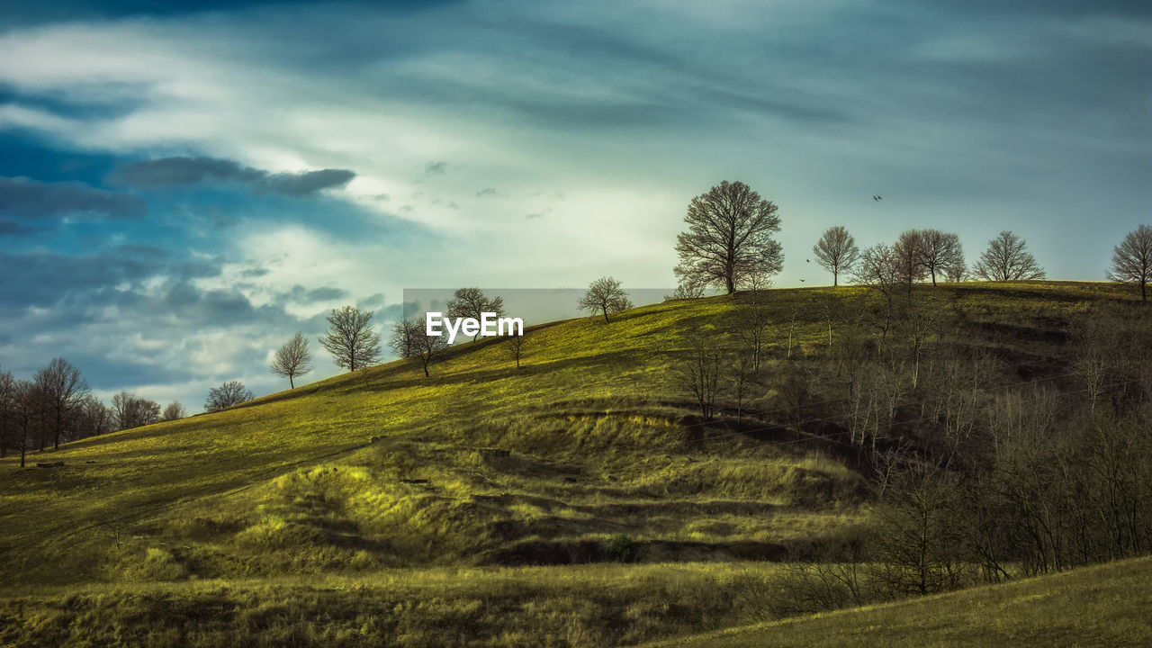 SCENIC VIEW OF LAND AGAINST SKY