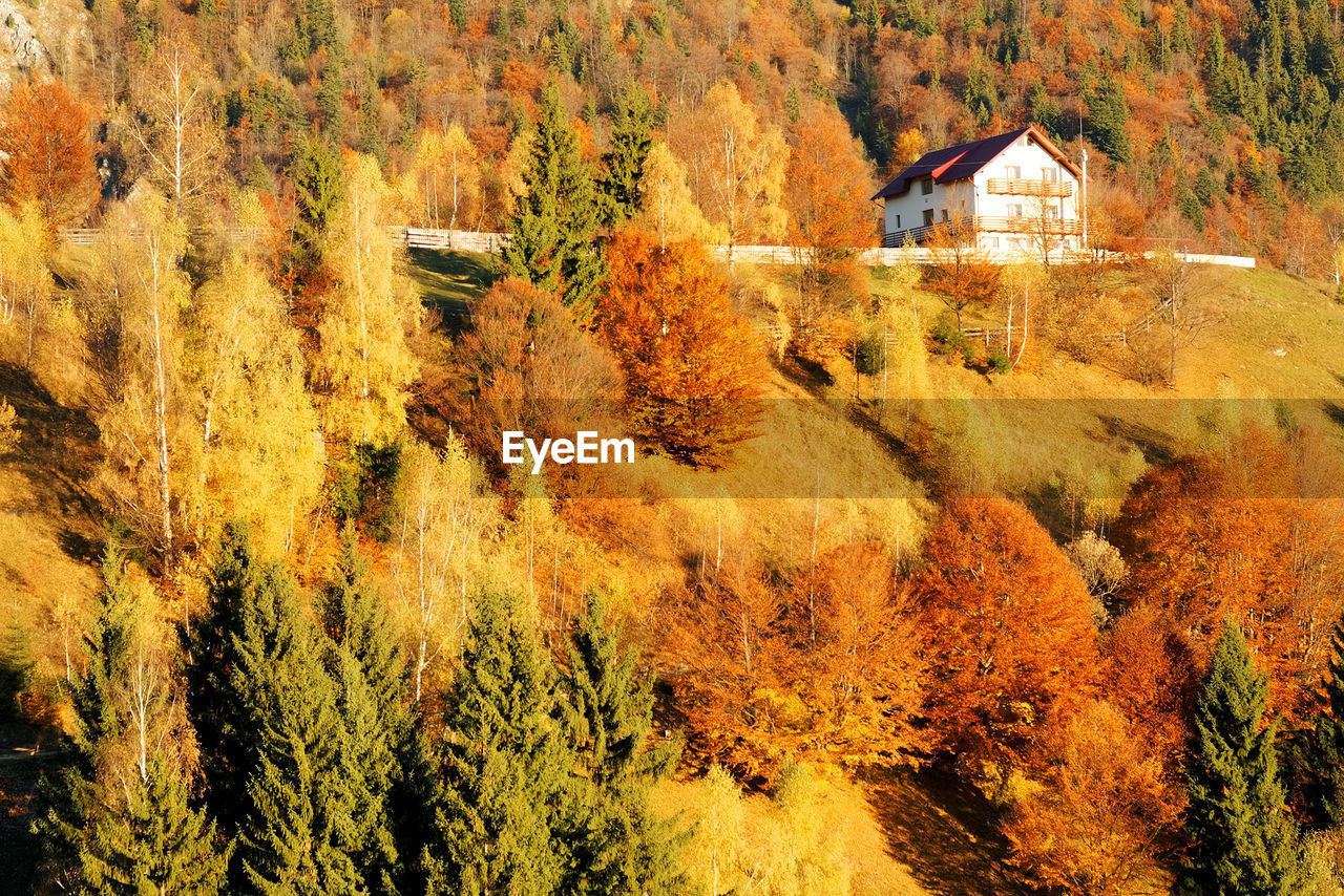 House amidst autumn trees in forest