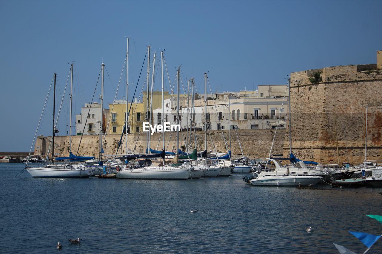 SAILBOATS MOORED IN HARBOR AGAINST CLEAR SKY