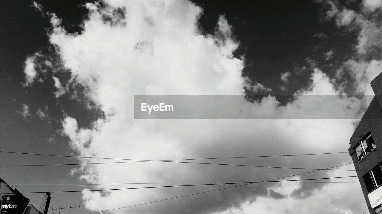 LOW ANGLE VIEW OF FLOCK OF BIRDS AGAINST SKY