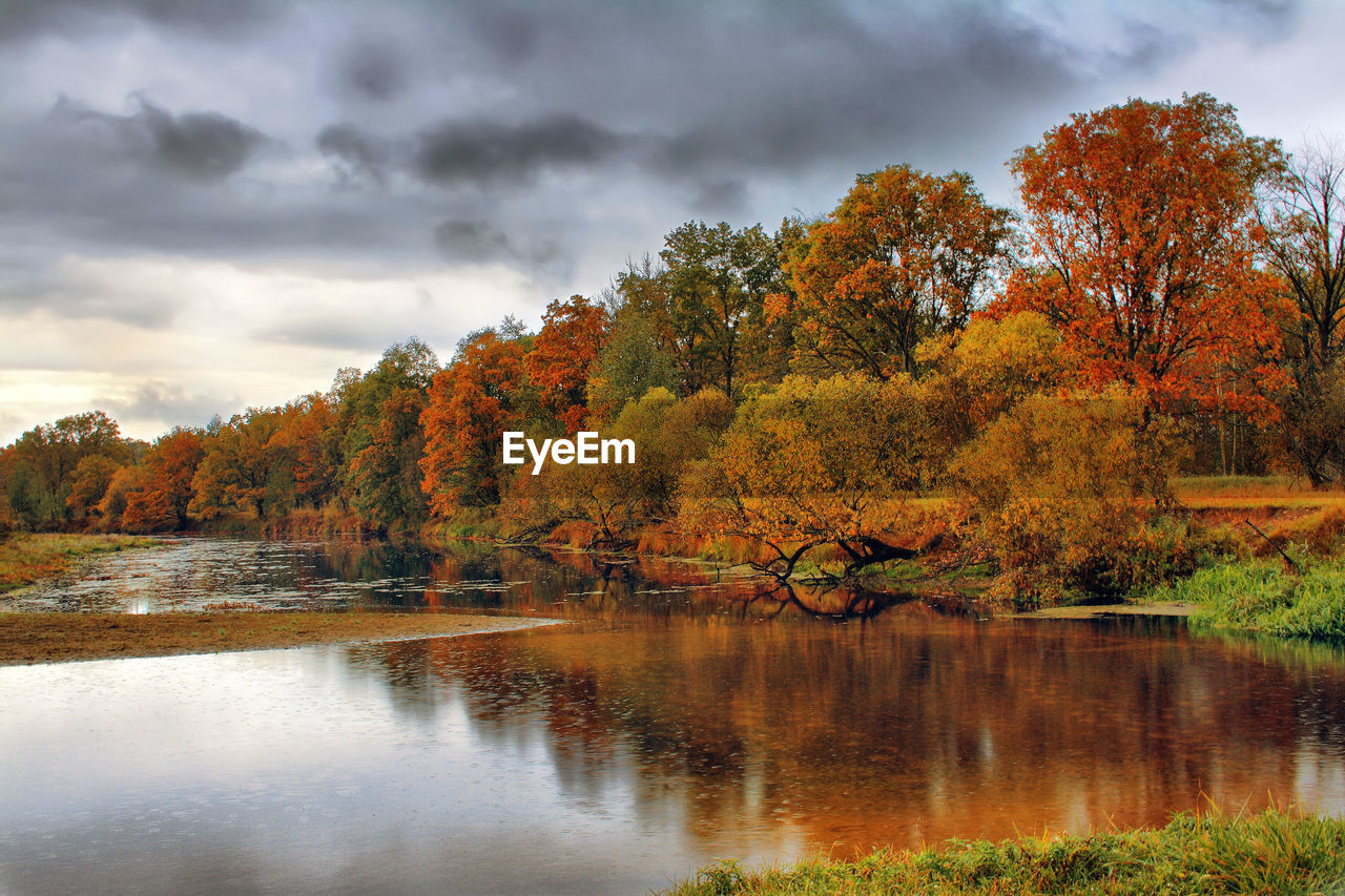 SCENIC VIEW OF LAKE BY TREES DURING AUTUMN AGAINST SKY