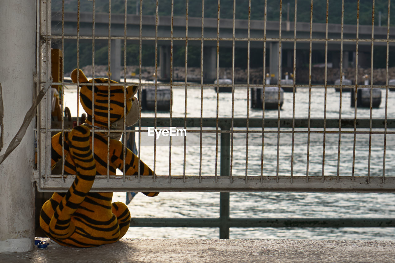 Tiger stuffed animal perched on wall overlooking harbor 