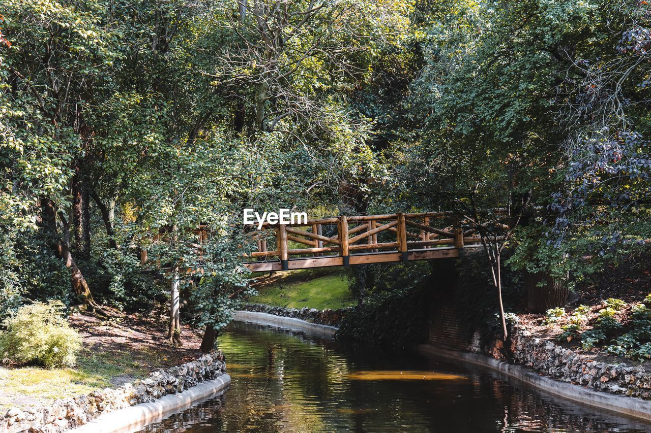 Bridge over river amidst trees in forest