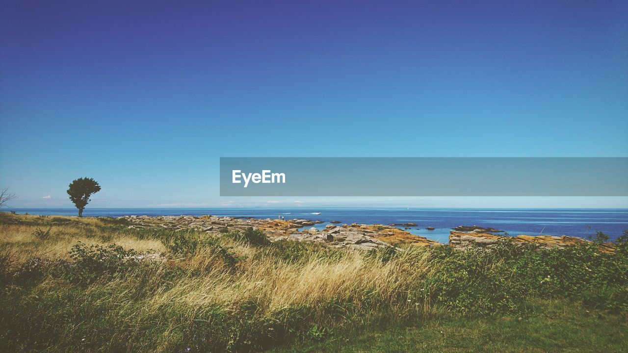 Scenic view of field against clear blue sky