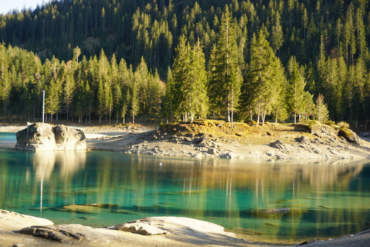 SCENIC VIEW OF RIVER