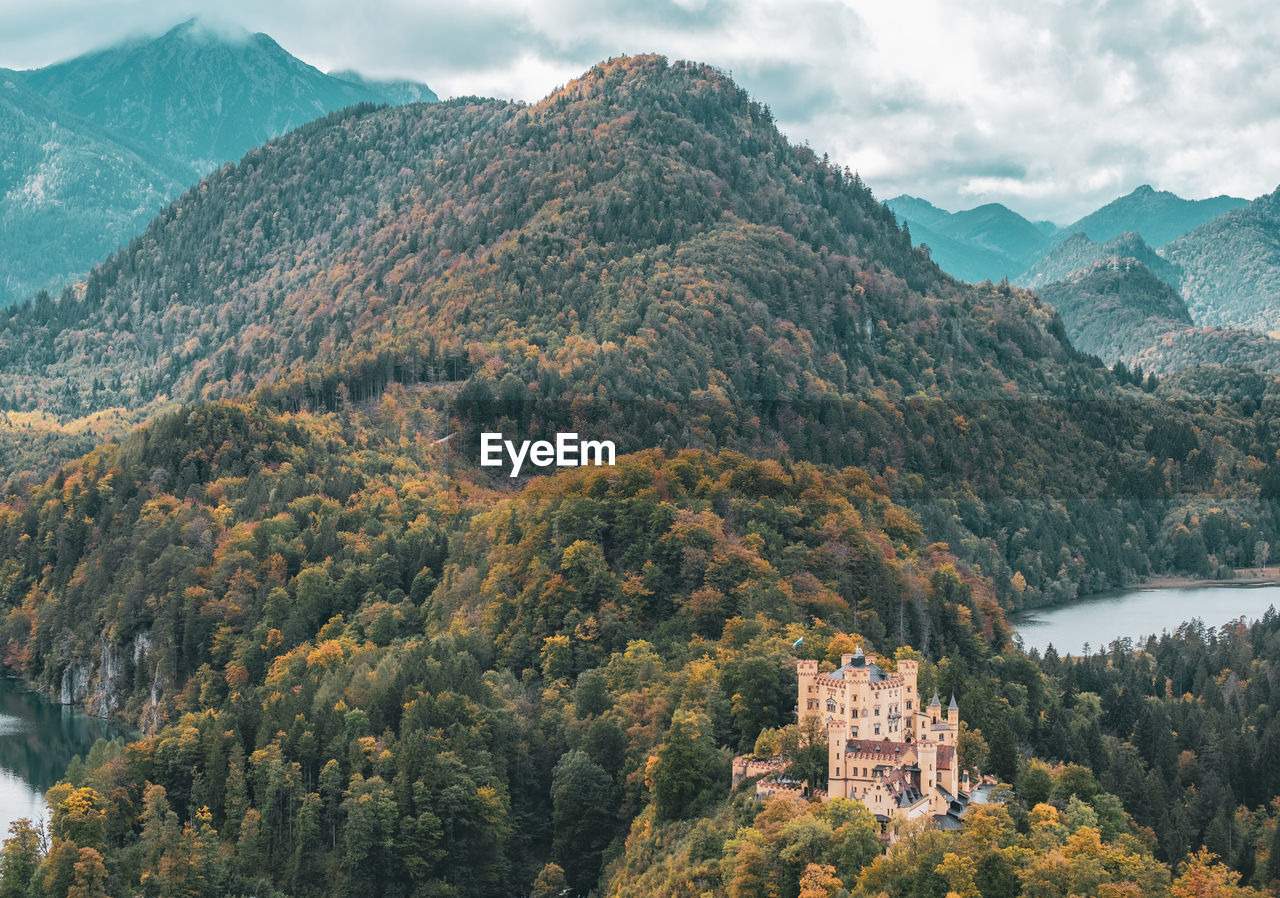 SCENIC VIEW OF TREE MOUNTAINS AGAINST SKY