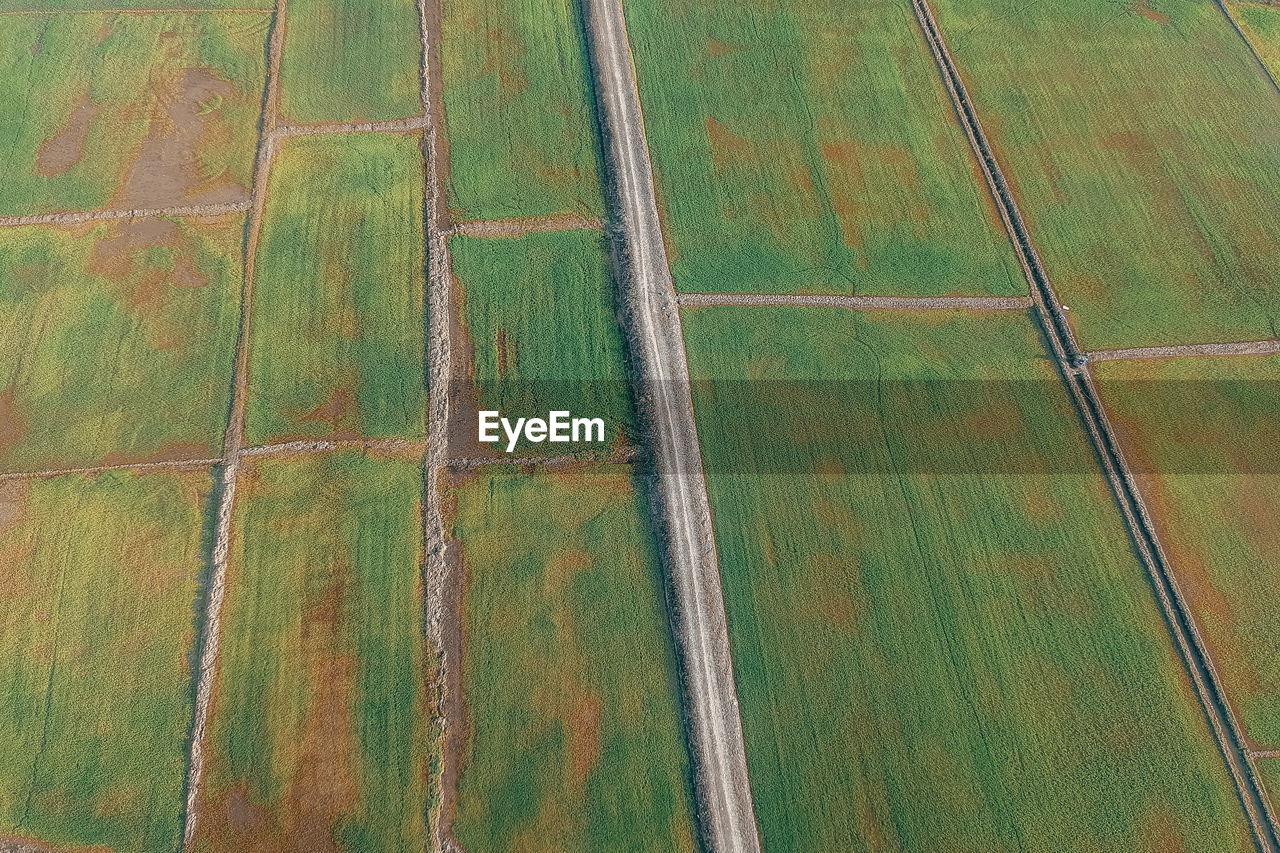 Full frame shot of agricultural field