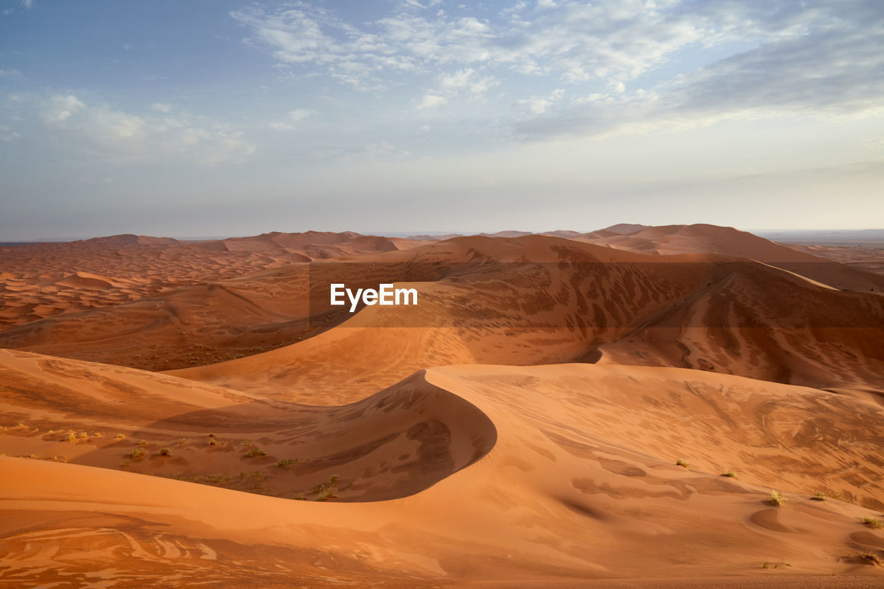 Desert landscape with patterned dunes, sahara, morocco