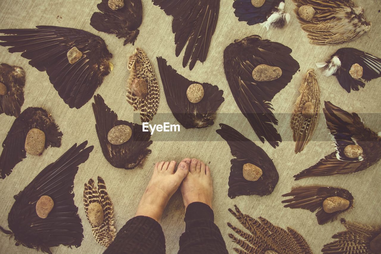 Low section of man standing on floor amidst feathers and stones