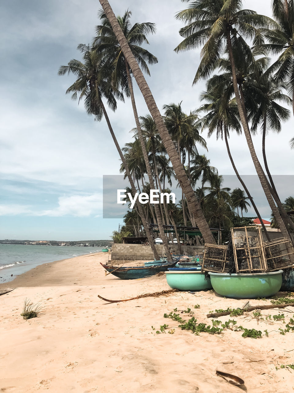 beach, palm tree, tropical climate, land, water, sea, tree, sky, sand, nature, plant, cloud, coconut palm tree, vacation, tranquility, scenics - nature, beauty in nature, shore, holiday, nautical vessel, travel destinations, tranquil scene, trip, day, body of water, travel, no people, coast, outdoors, idyllic, transportation, tropical tree, island, ocean, mode of transportation, horizon over water, tropics, coastline, bay, vehicle, horizon, environment, tourism