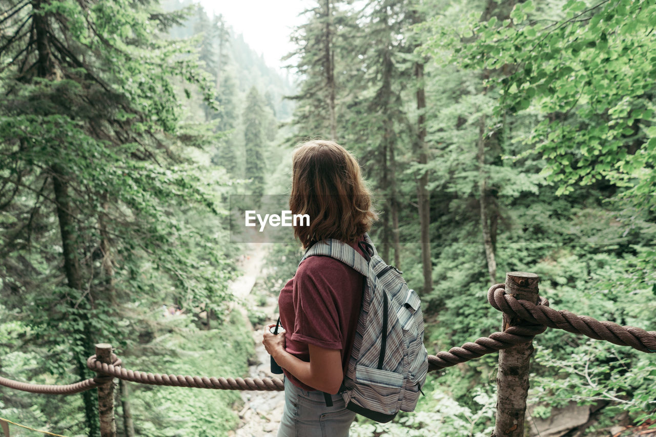 Rear view of woman standing amidst trees in forest