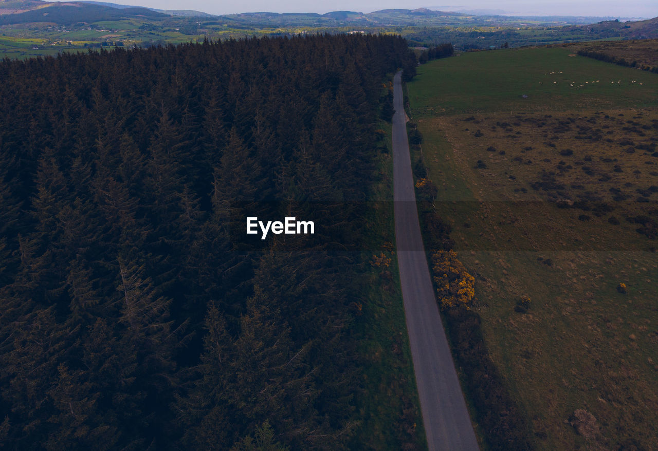 High angle view of road amidst trees in forest