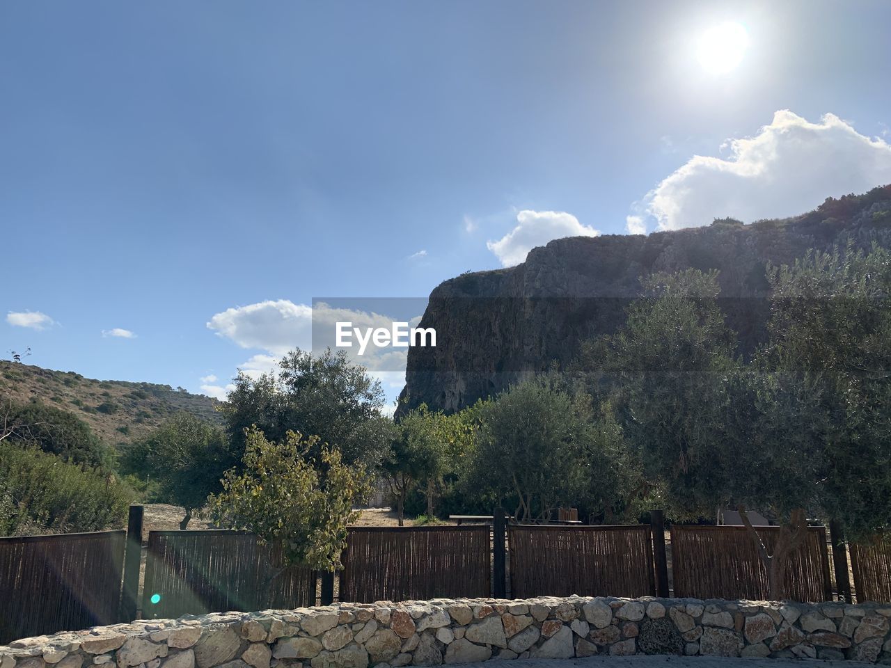 VIEW OF TREES ON MOUNTAIN AGAINST SKY