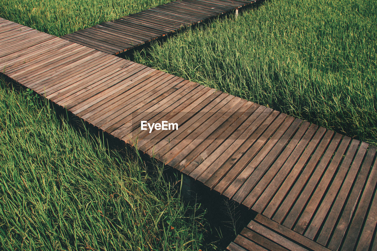 High angle view of wood on field