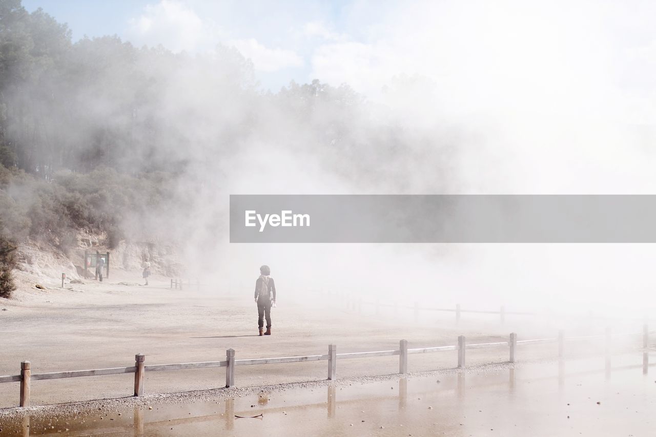 Rear view of man standing in forest during foggy weather