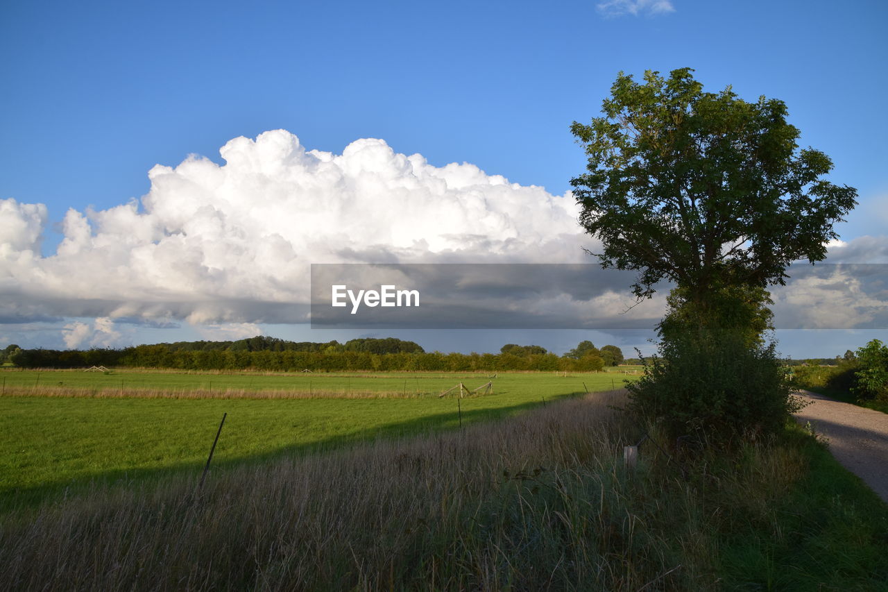 SCENIC VIEW OF LAND AGAINST SKY