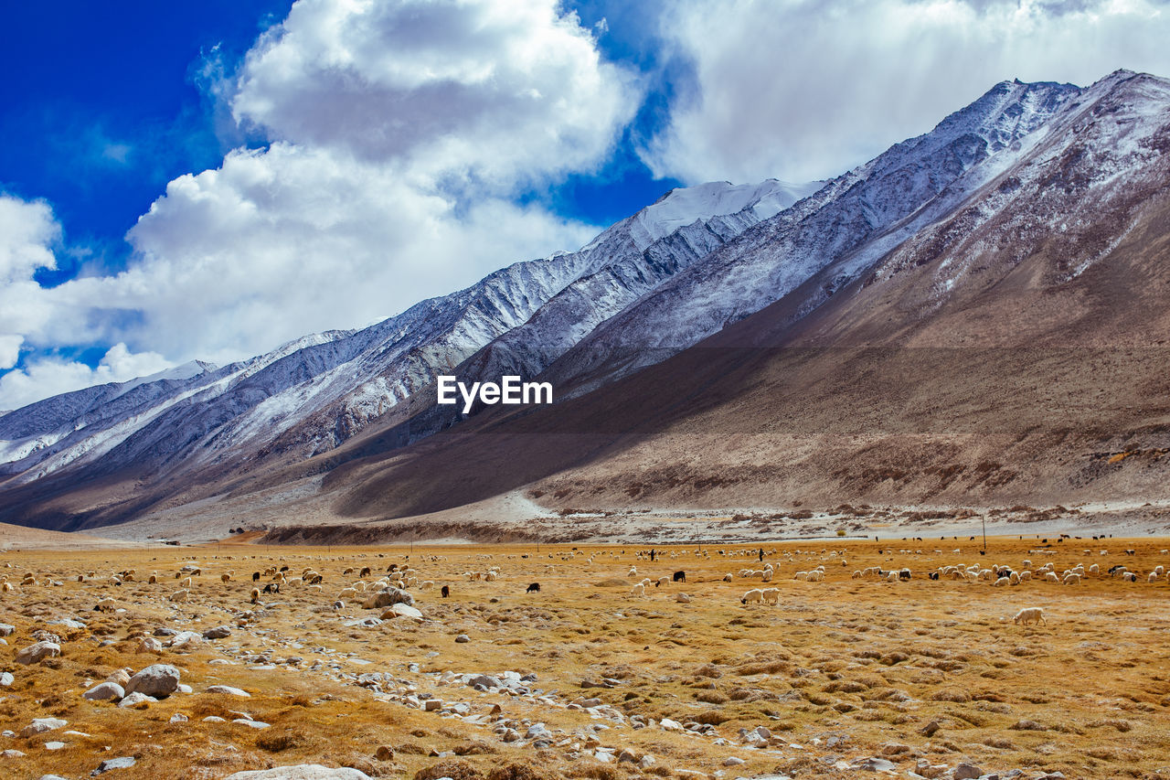 Scenic view of snowcapped mountains against sky