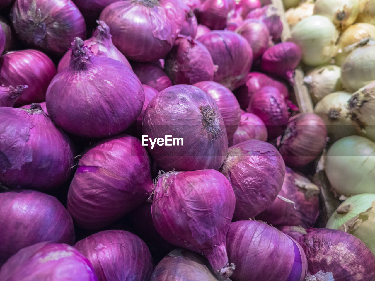 FULL FRAME SHOT OF ONIONS FOR SALE