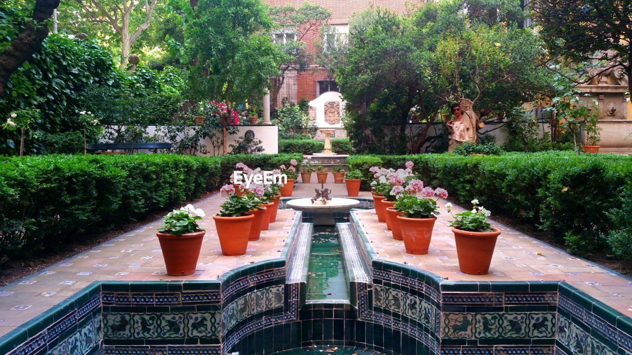 VIEW OF FOUNTAIN IN GARDEN