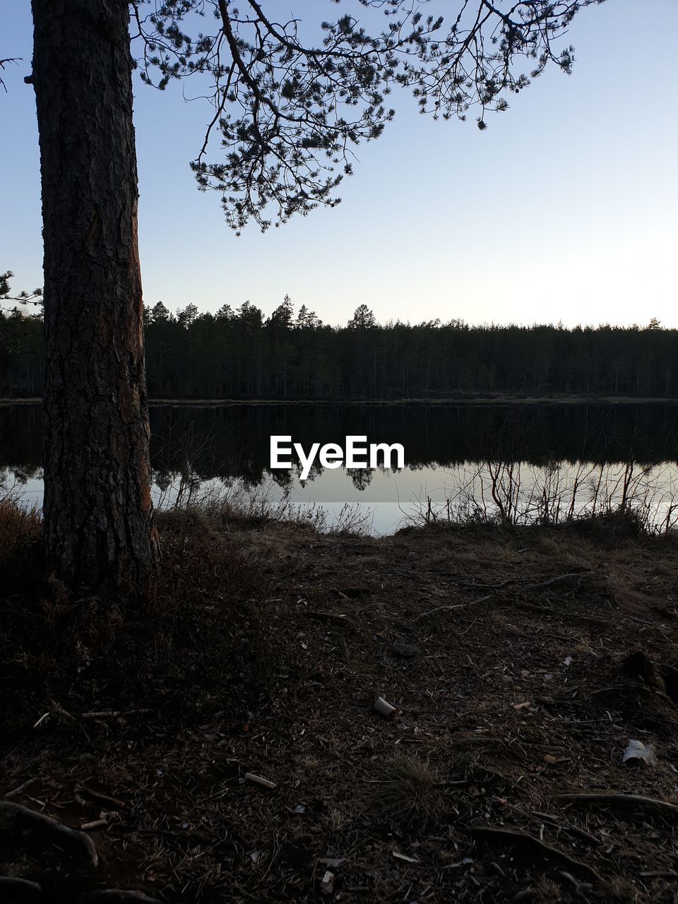 SCENIC VIEW OF LAKE AGAINST SKY IN FOREST