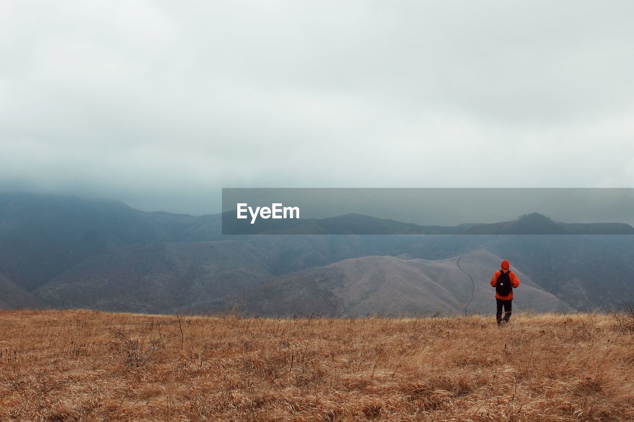 Rear view of man walking on mountain against sky