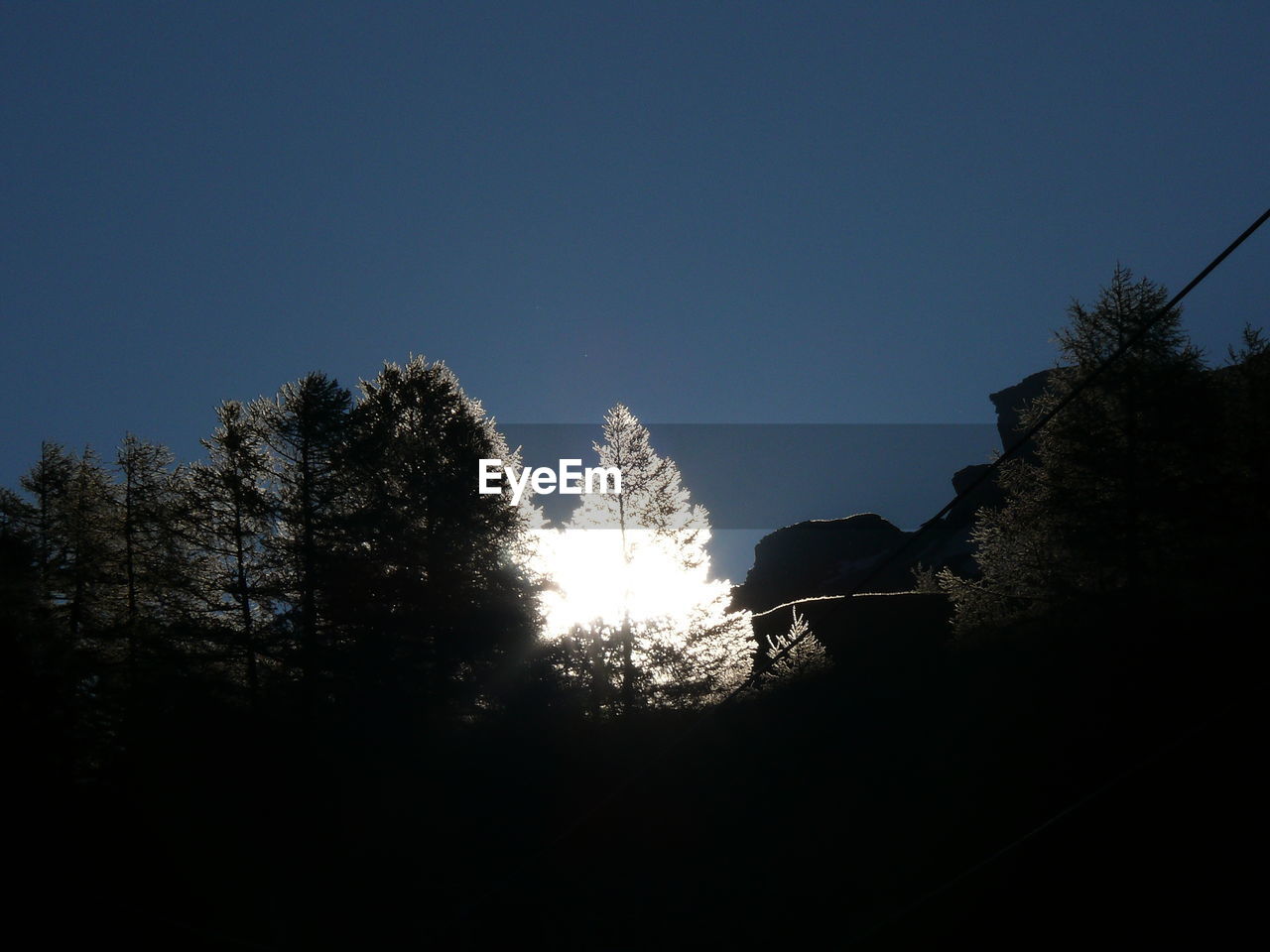 Bright light in forest at night