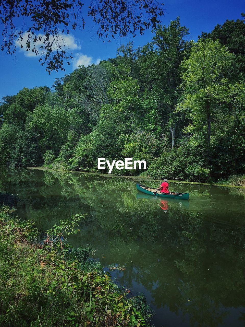 Rear view of man sailing on rowboat in river against trees
