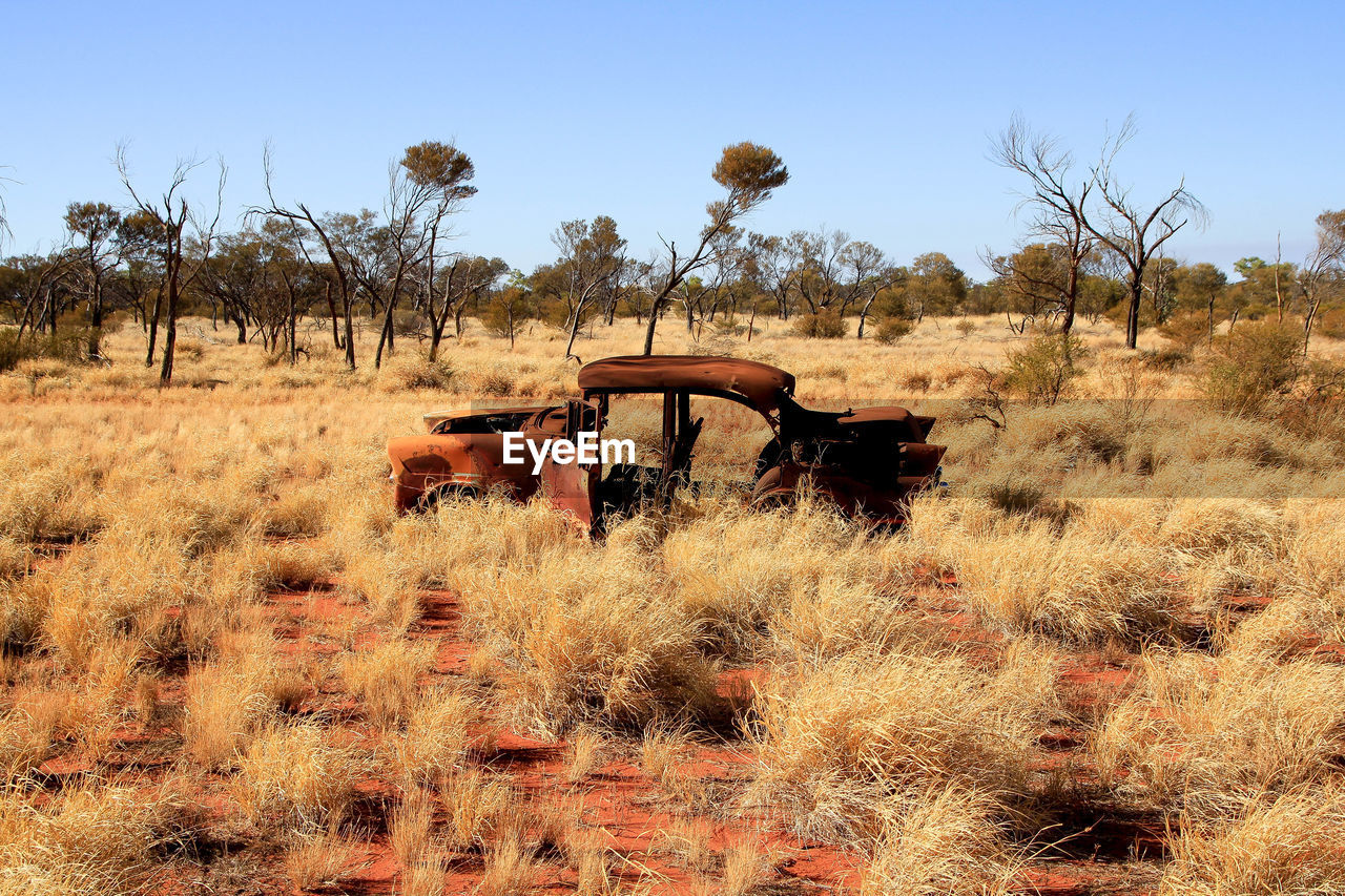 ABANDONED CAR ON FIELD