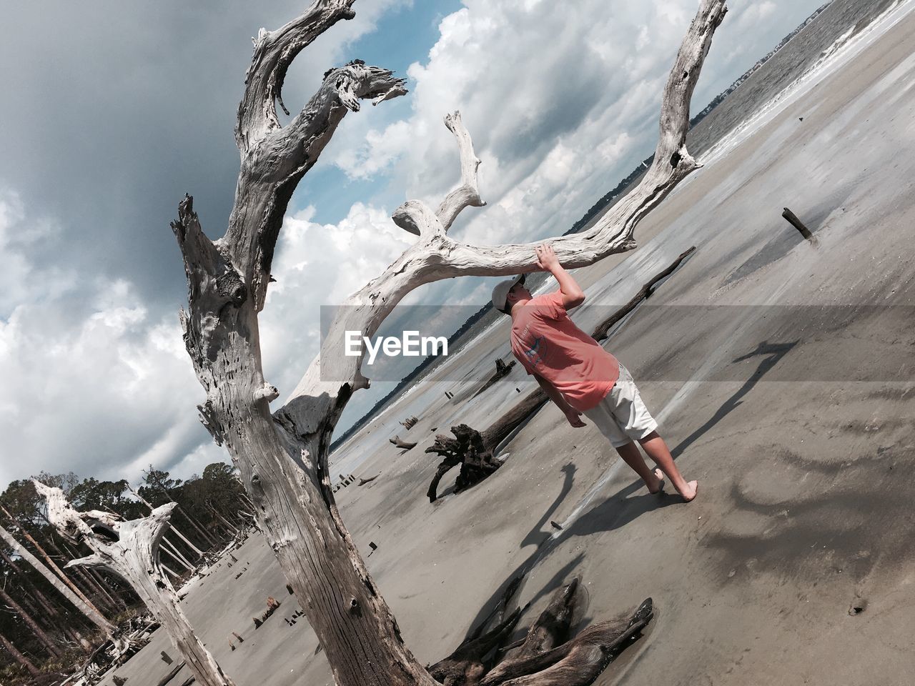 PANORAMIC VIEW OF CHAIN AGAINST SKY ON TREE