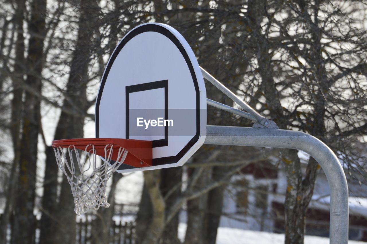 Low angle view of basketball hoop against trees