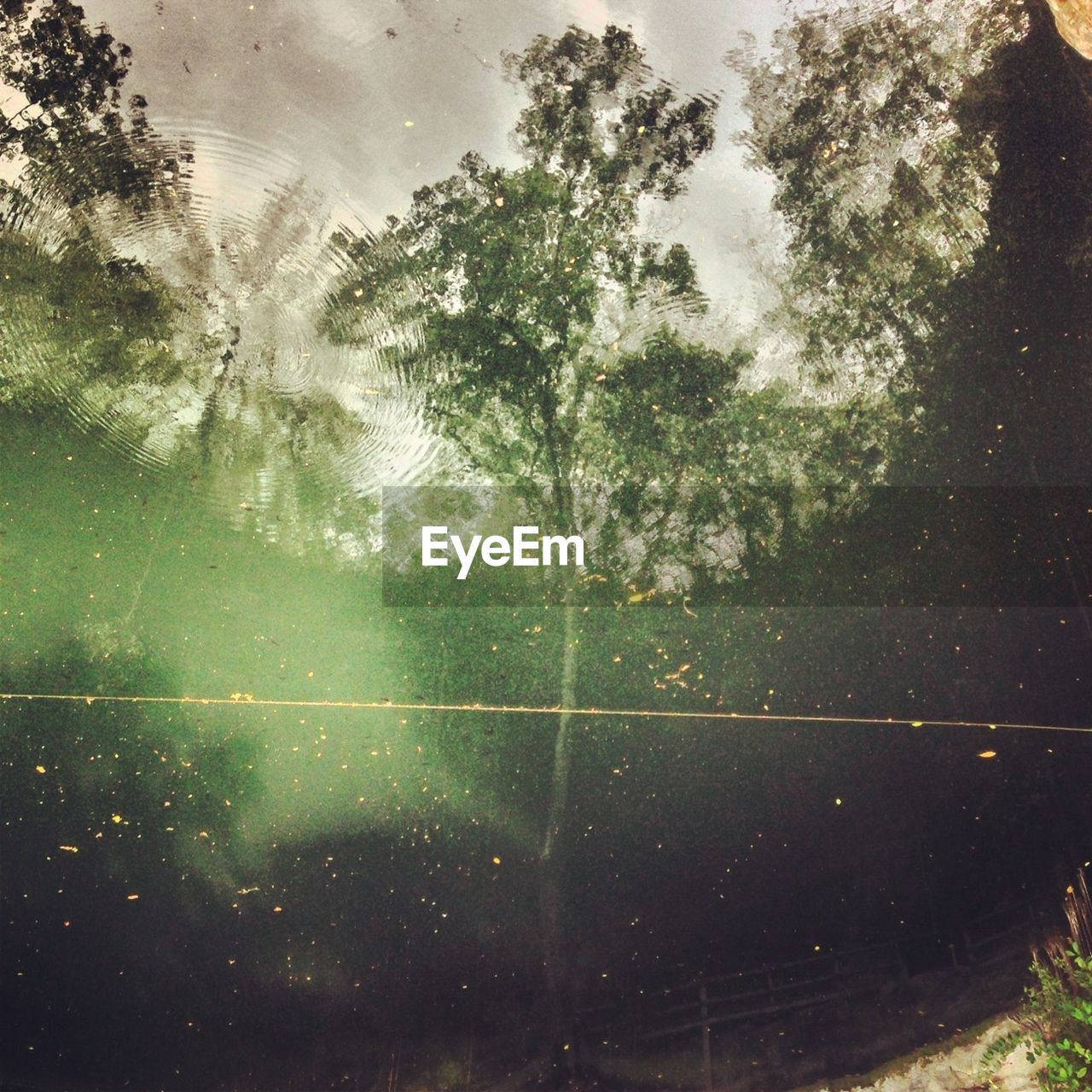 High angle view of trees reflected in lake