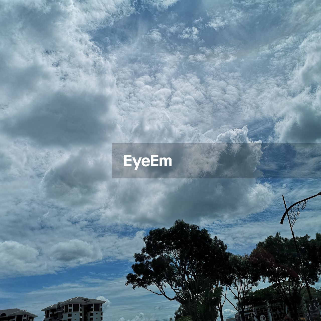 LOW ANGLE VIEW OF SILHOUETTE TREES AGAINST BLUE SKY