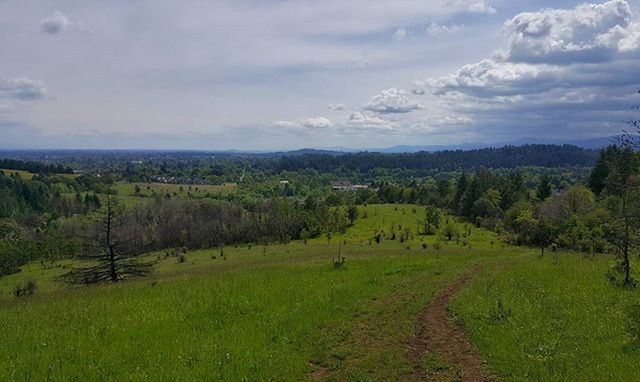 SCENIC VIEW OF GRASSY FIELD AGAINST SKY