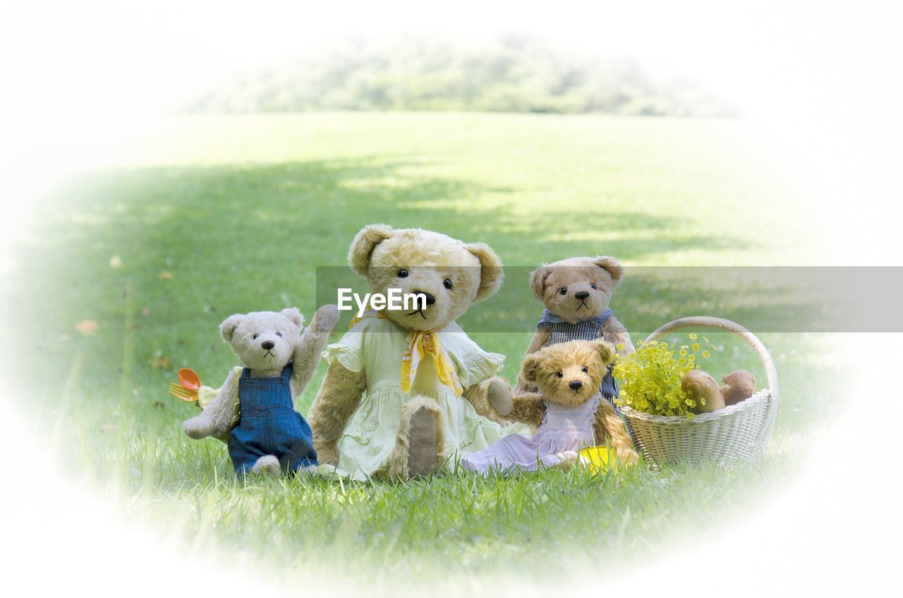 CLOSE-UP OF STUFFED TOY ON FIELD