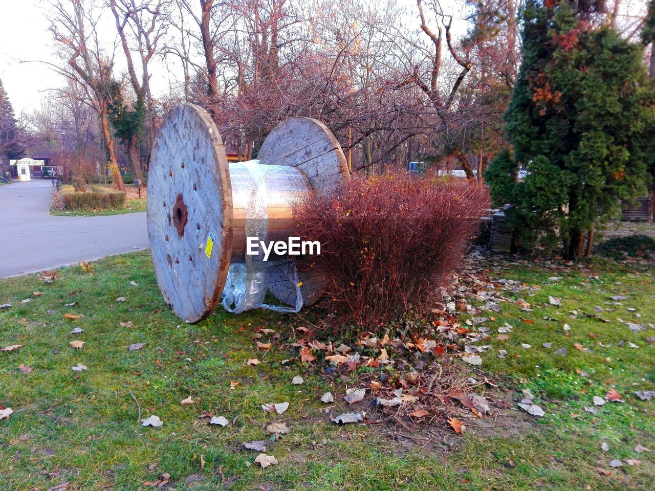 Huge empty spool on grass against bare trees