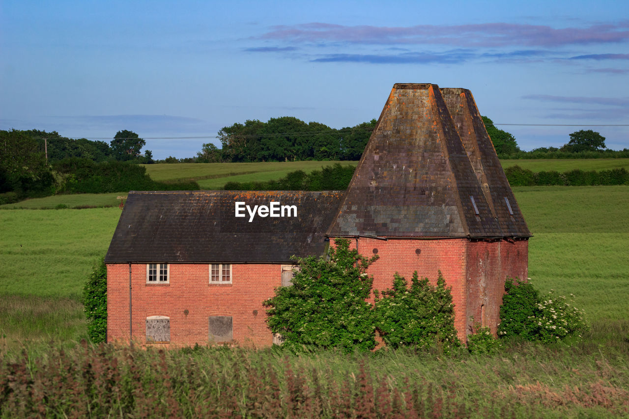 OLD HOUSE ON FIELD BY TREE AGAINST SKY