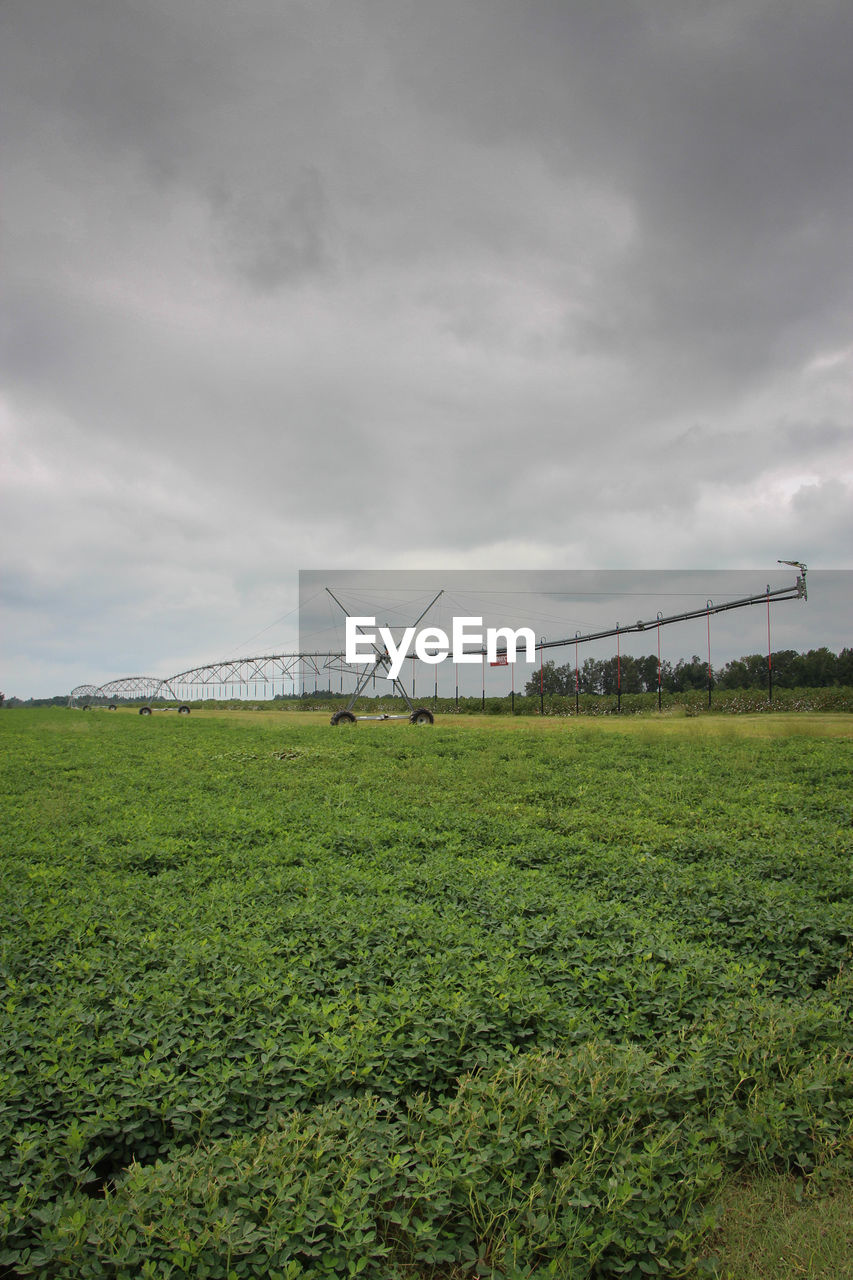 Grassy field against cloudy sky