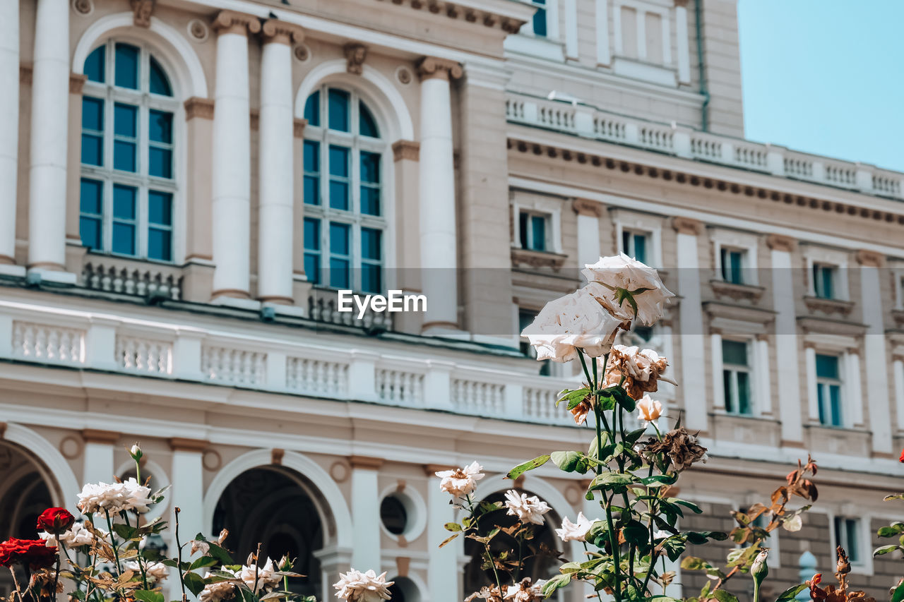 National odessa national academic opera and ballet theatre. architectural monument. travel 