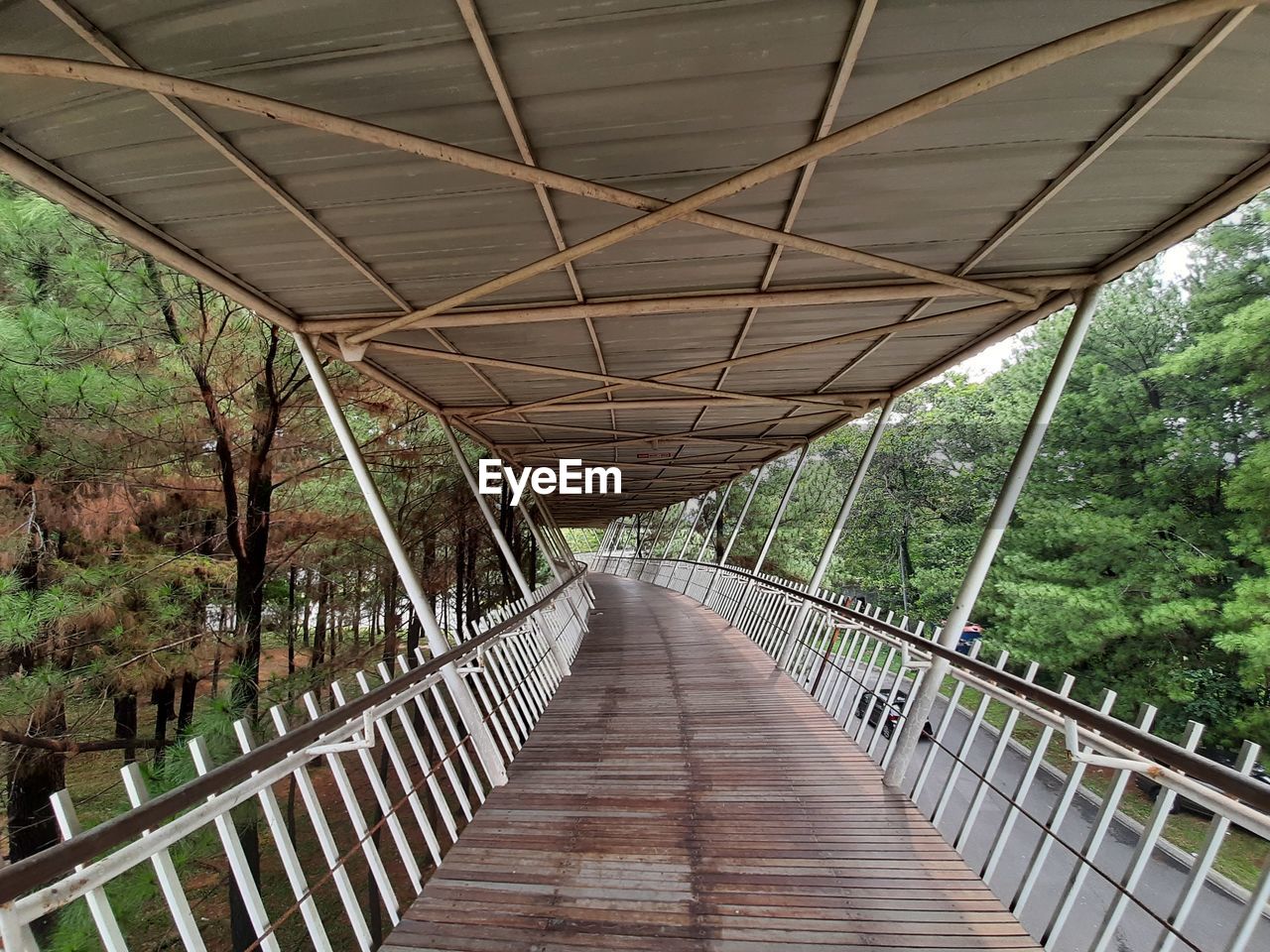 View of footbridge in forest