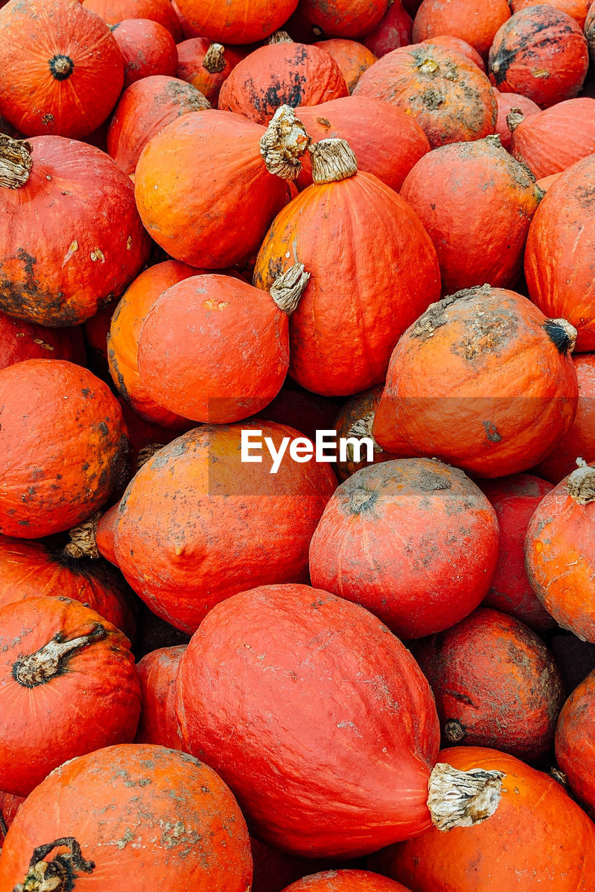 Full frame shot of pumpkins in market