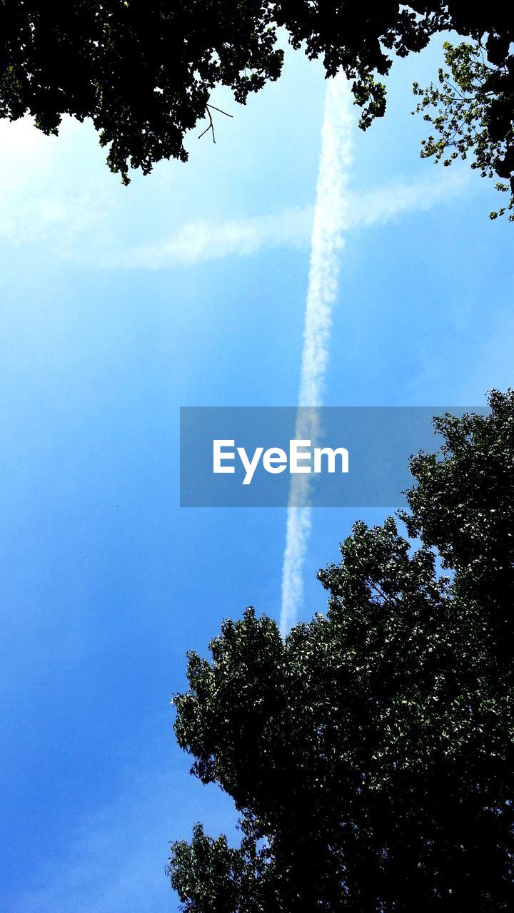Low angle view of trees against sky with vapor trail