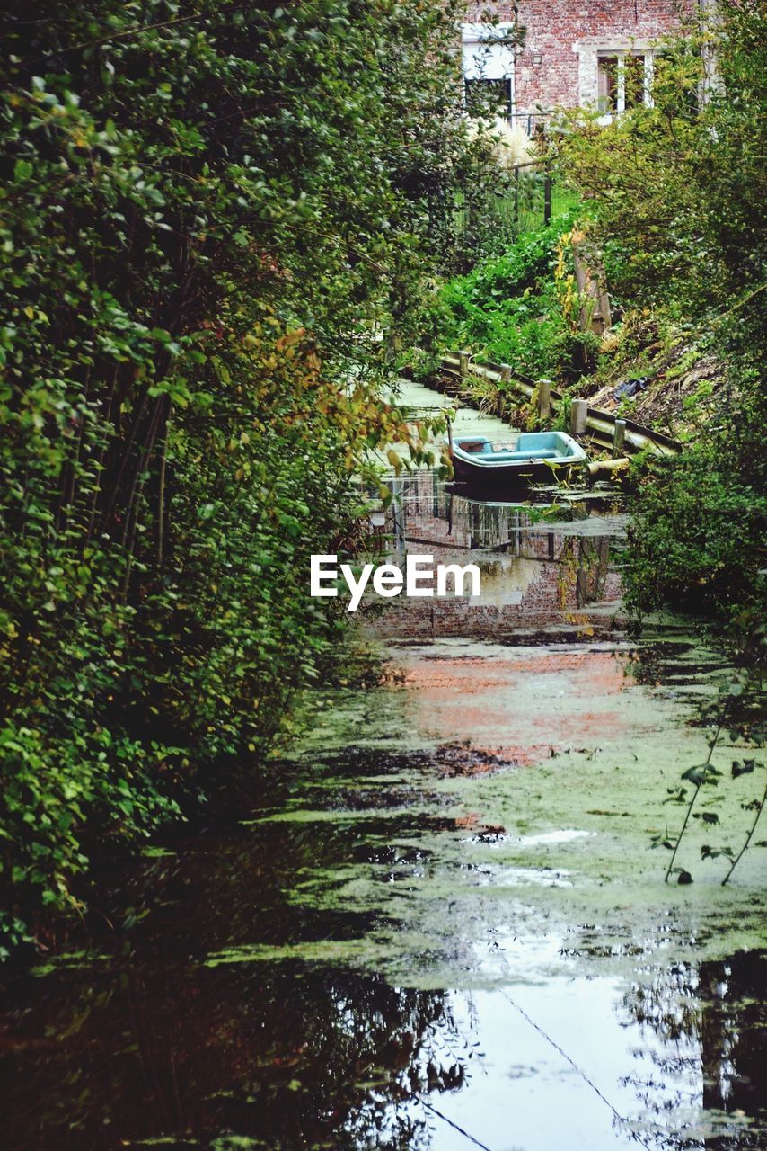 VIEW OF CANAL ALONG TREES