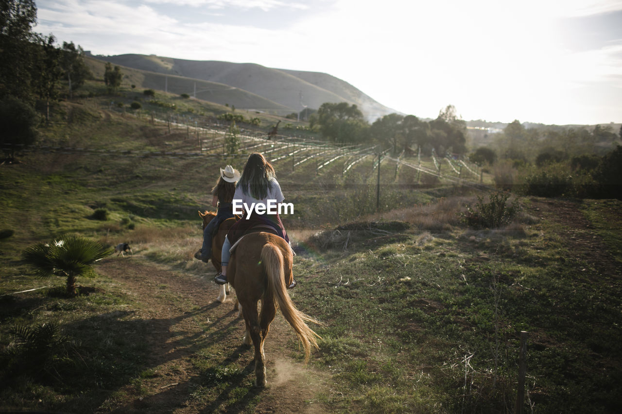 Rear view of friends horseback riding on field