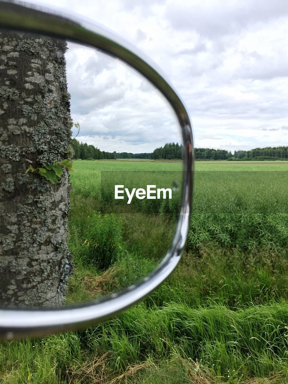 Reflection of crops on side-view mirror