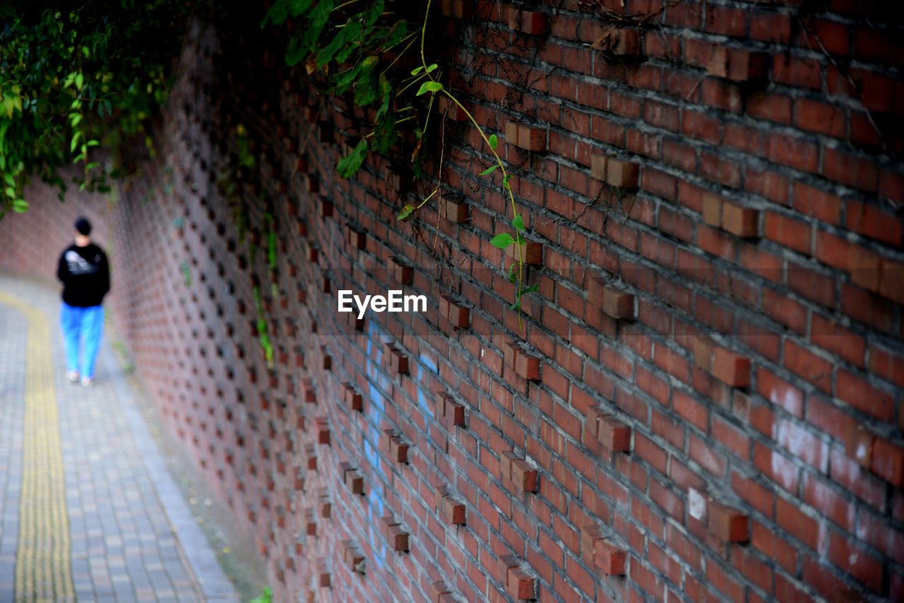 Rear view of man walking on wall of building