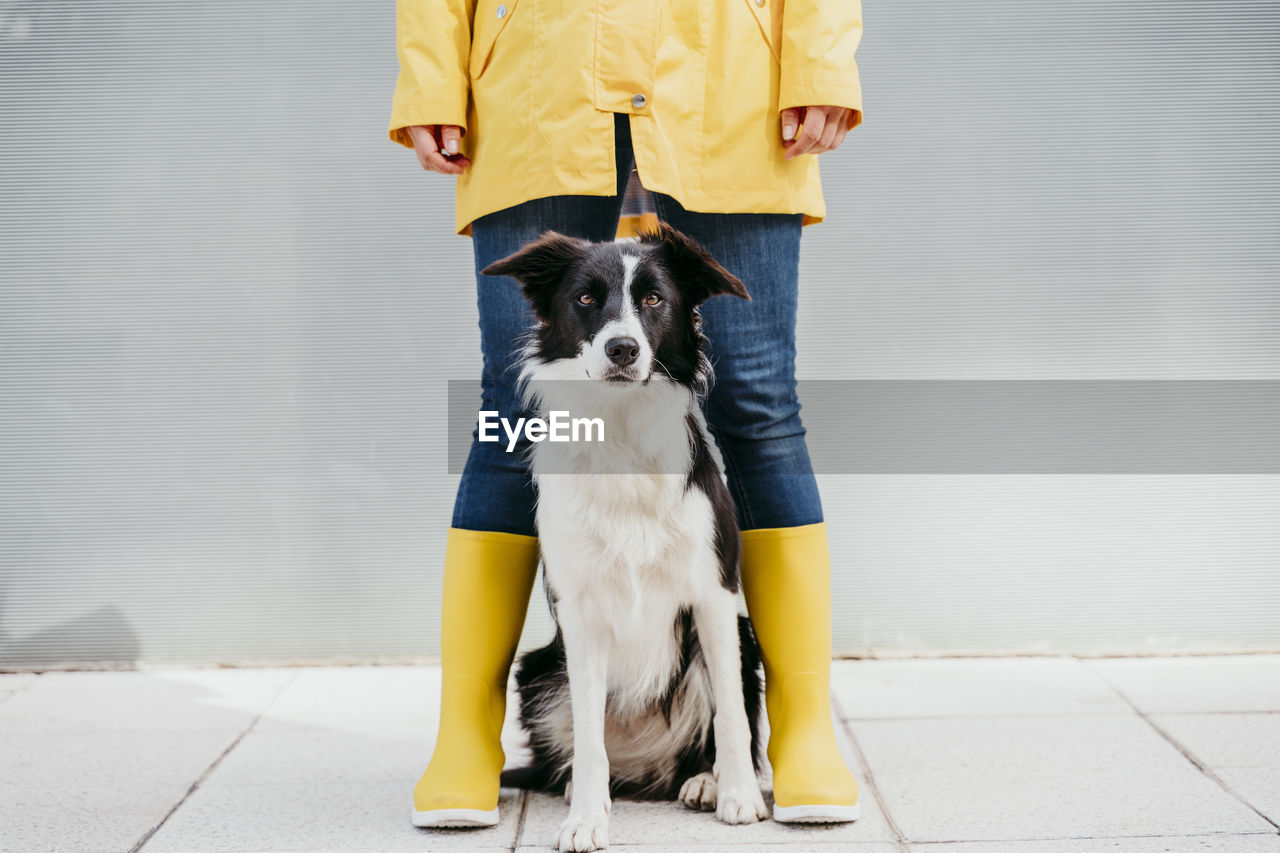 Woman wearing yellow raincoat standing with dog during autumn