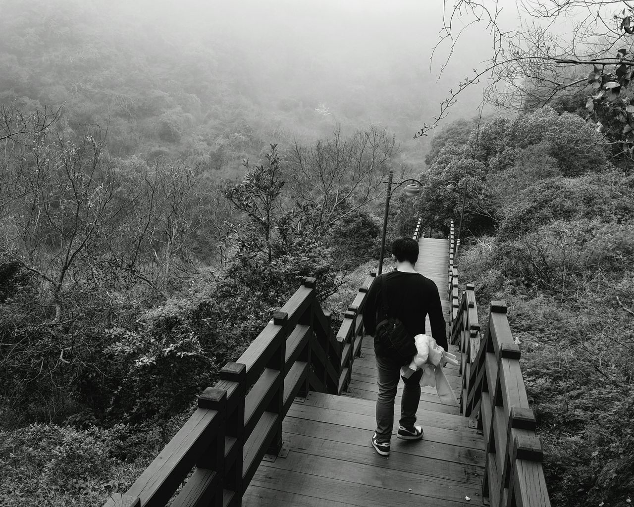 Rear view of man walking on stairs along trees