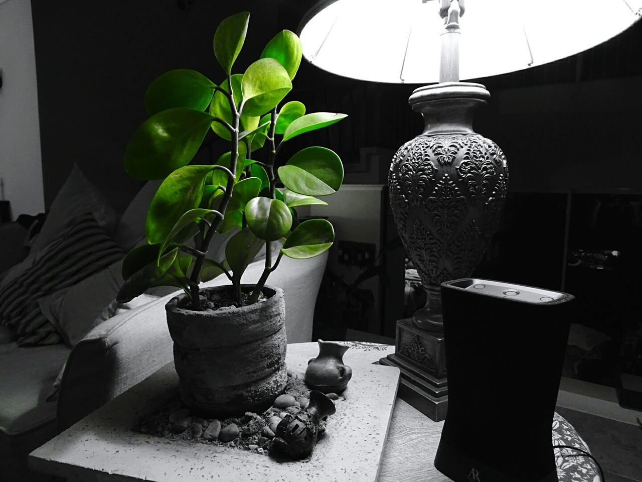 POTTED PLANTS ON WALL