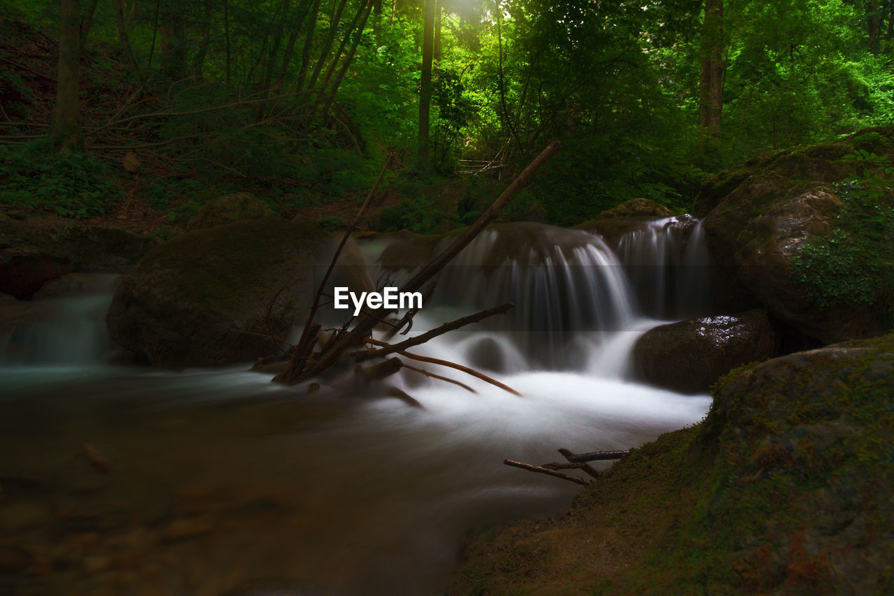 Scenic view of waterfall in forest